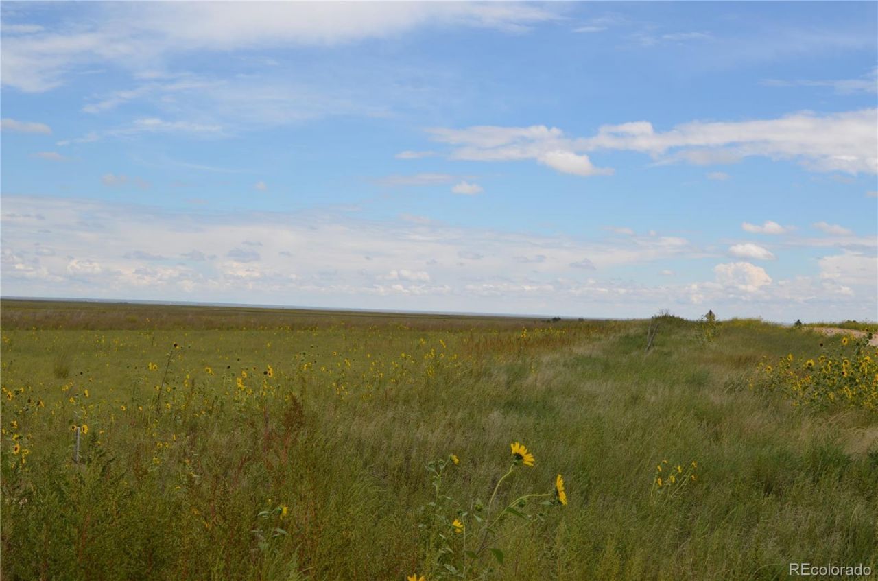 Parcel 1 County Road W, Rush, CO 80833 Main Photo