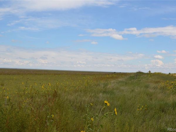 Parcel 1 County Road W, Rush, CO 80833