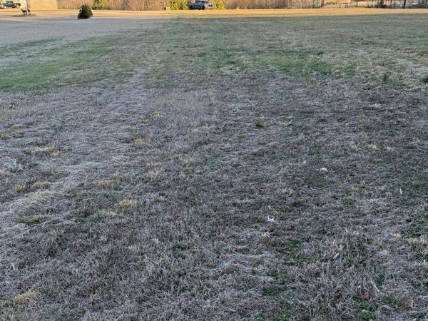 00 Ridgewood Dr , Henderson, TN 38340