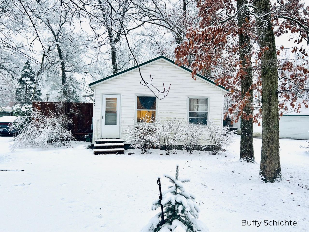 6716 Chapman Avenue, Newaygo, MI 49337 Main Photo