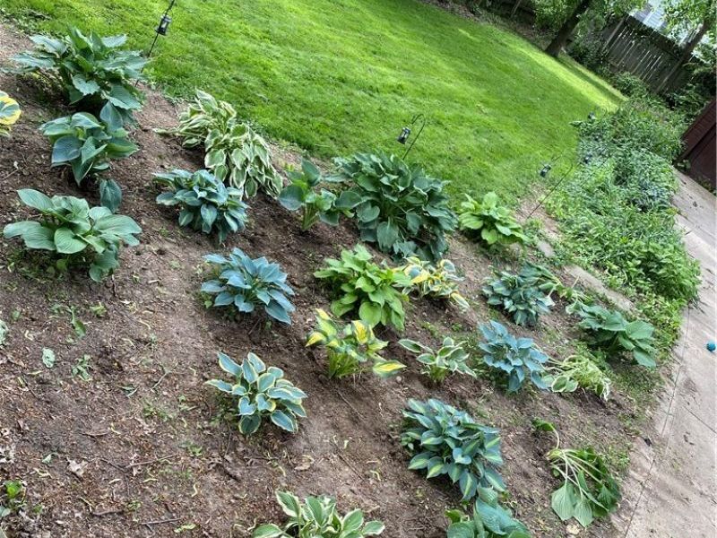 3085 Essex Road, Cleveland Heights, OH 44118 Photo 37