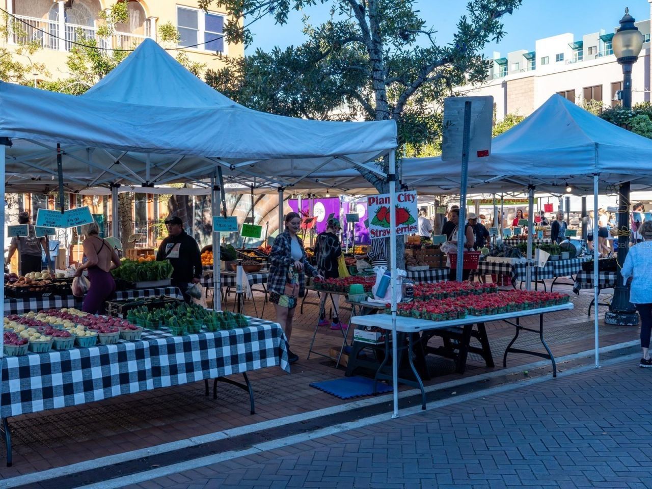 516 Laurel Park Drive, Sarasota, FL 34236 Photo