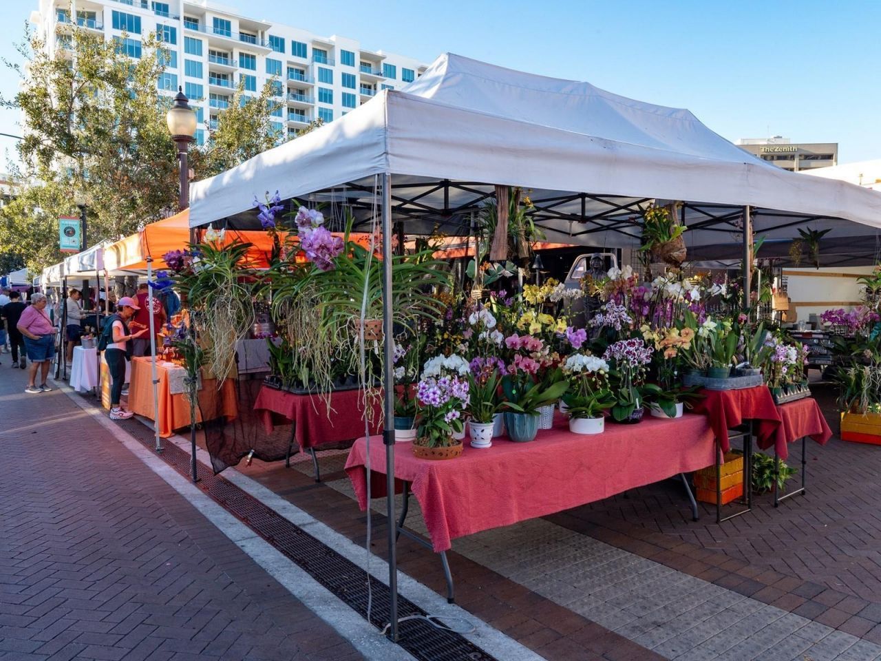 516 Laurel Park Drive, Sarasota, FL 34236 Photo