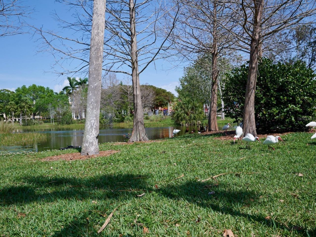 516 Laurel Park Drive, Sarasota, FL 34236 Photo