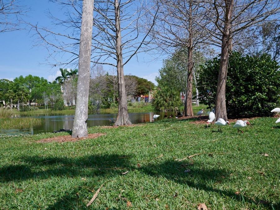 Property Image 98