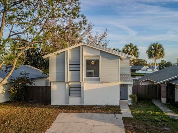 11033 SPRINGRIDGE DRIVE, TAMPA, FL 33624