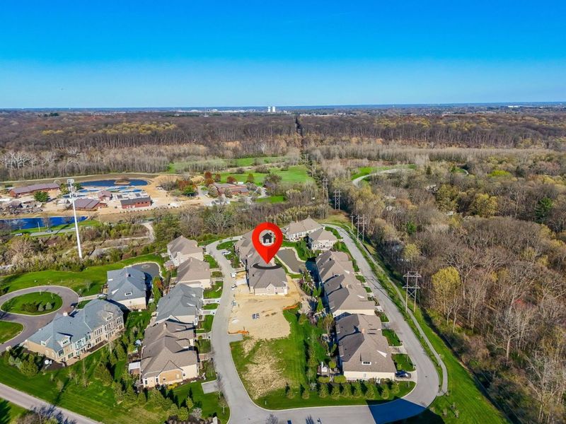 1473 Dogwood Loop, Powell, OH 43065 Photo 5