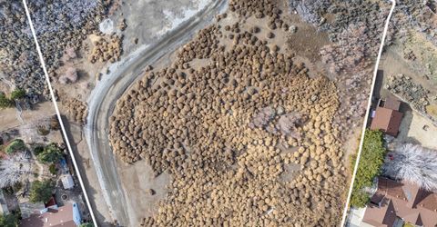 0 Cliff View Drive, Reno, NV 89523 Photo