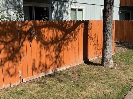 4608 Neil Road, Unit 215, Reno, NV 89502 Photo