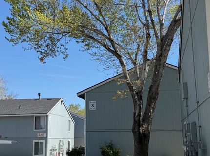 4608 Neil Road, Unit 215, Reno, NV 89502 Photo