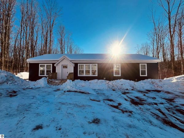4375 Antioch Drive, Mesick, MI 49668