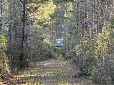 0 Highway 17a, Jamestown, SC 29453