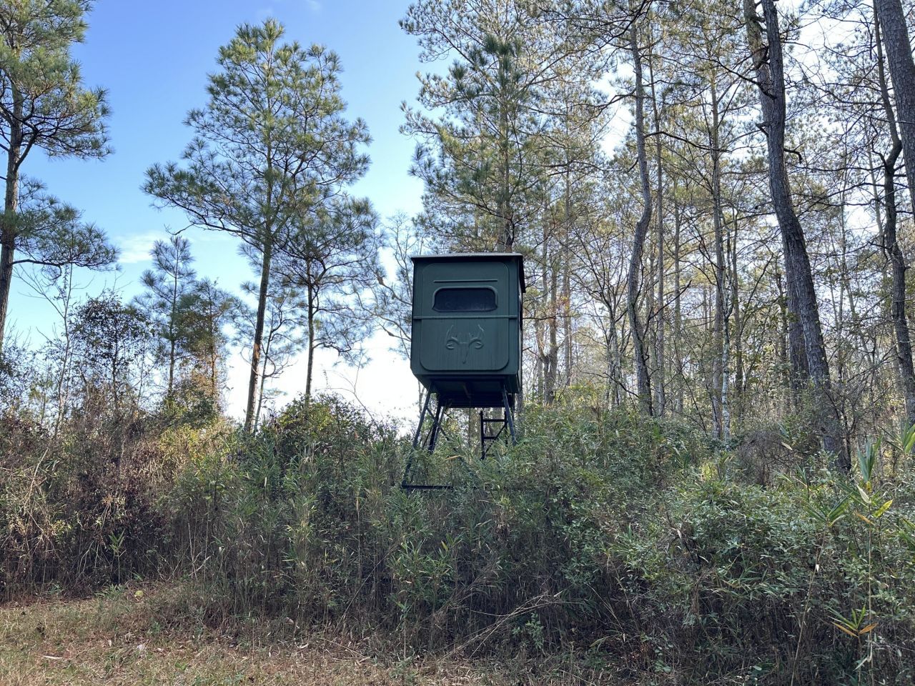 0 Highway 17a Photo 17