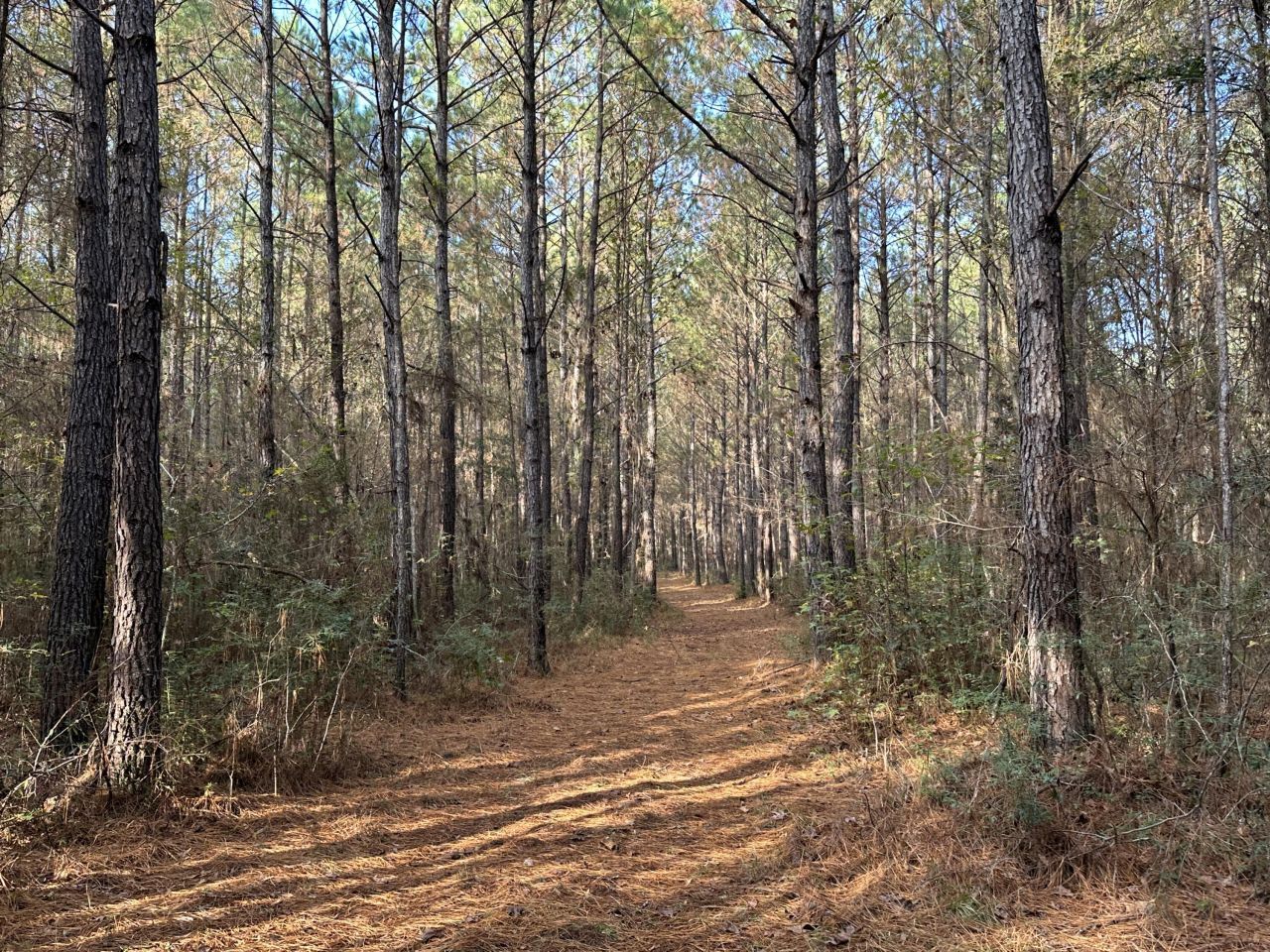 0 Highway 17a Photo 18