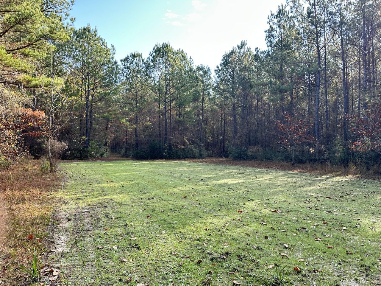 0 Highway 17a Photo 19