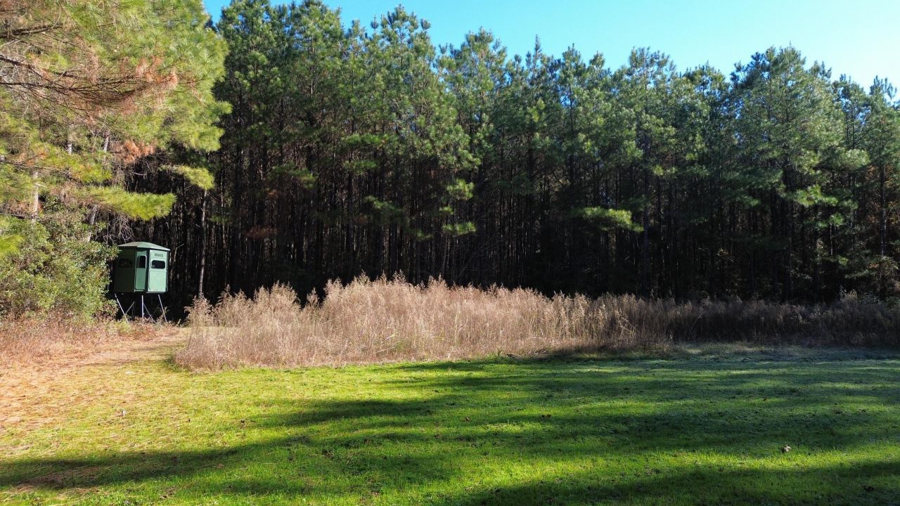 0 Highway 17a Photo 2