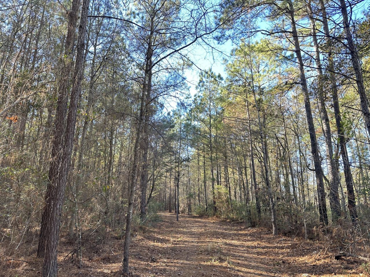 0 Highway 17a Photo 20