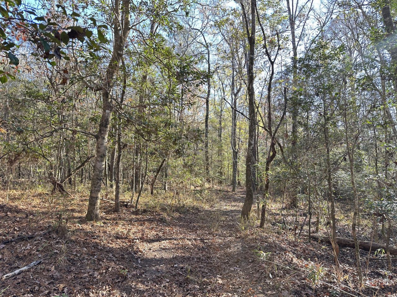 0 Highway 17a Photo 21