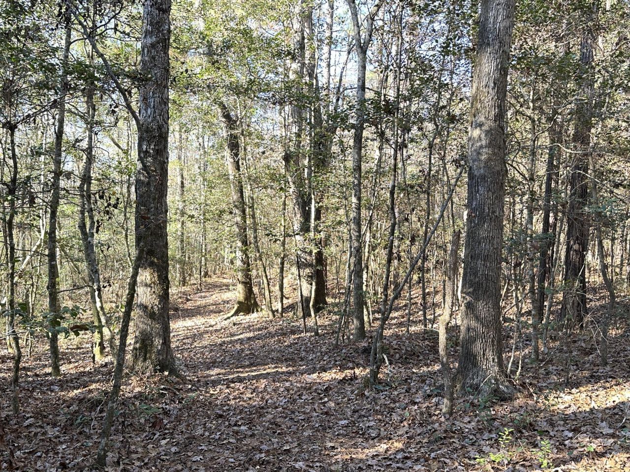 0 Highway 17a Photo 22