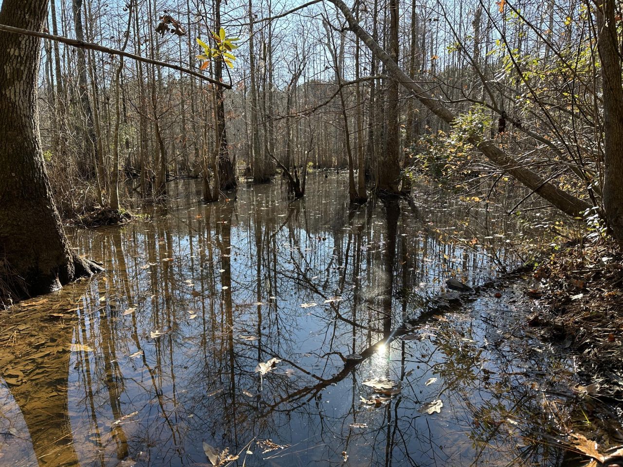 0 Highway 17a Photo 24