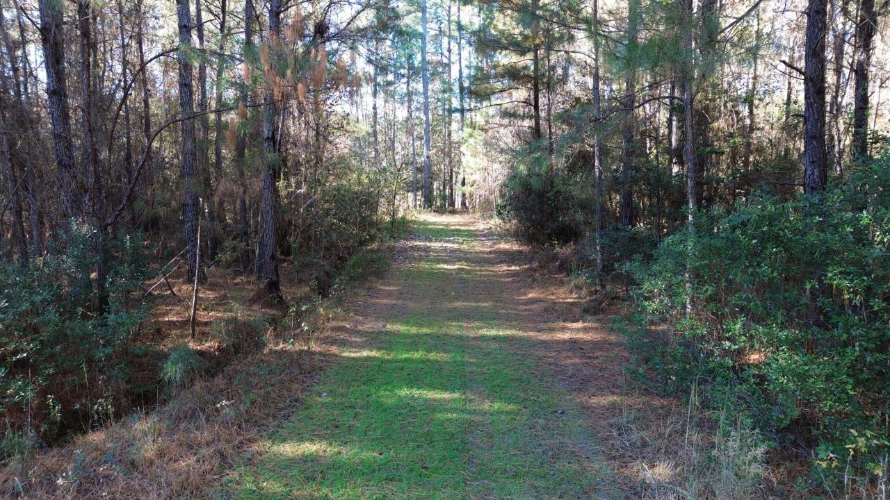 0 Highway 17a Photo 6