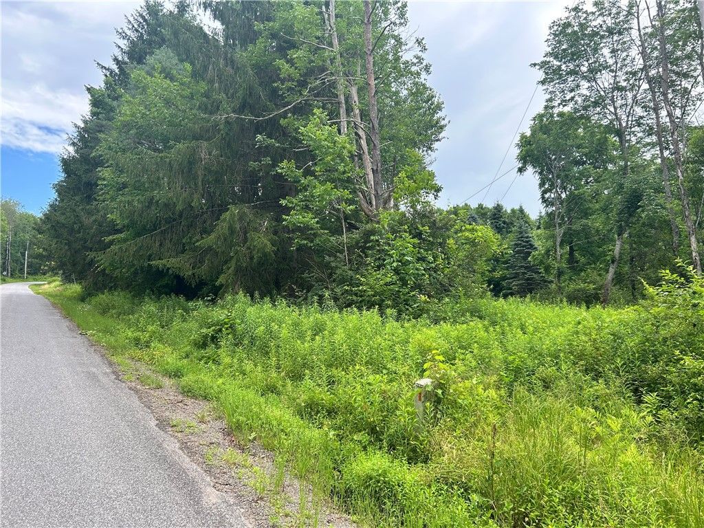 Lot 4 Sisson Hill Road, Unadilla, NY 13849 Main Photo