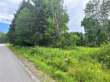 Lot 4 Sisson Hill Road, Unadilla, NY 13849
