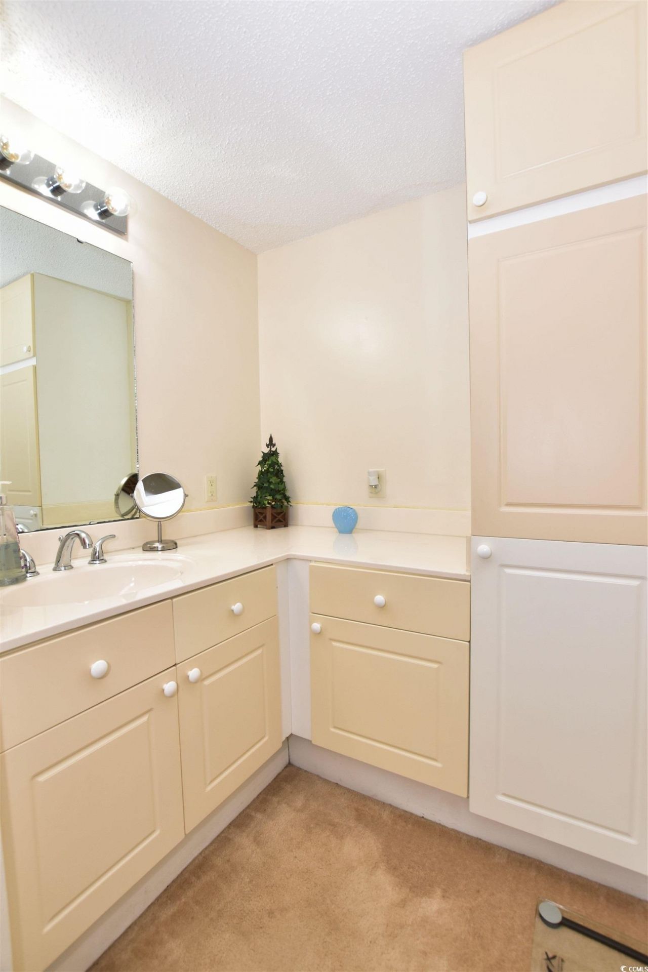 128 Egret Run Ln. Photo 17