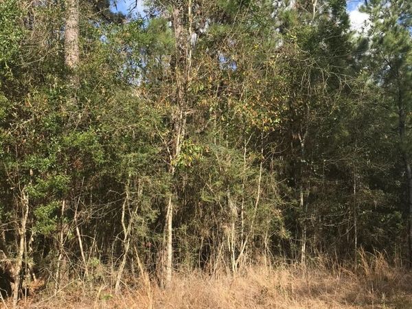 Saucier Fairley Road, Saucier, MS 39574