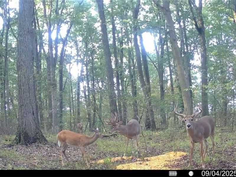 Lewis Road, Salineville, OH 43945 Photo 11