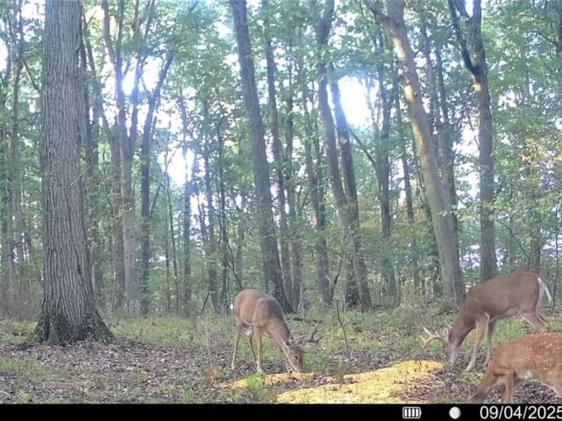 Lewis Road, Salineville, OH 43945 Photo 12