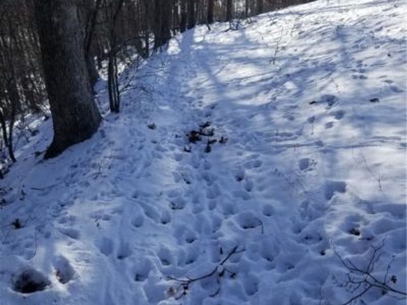 Lewis Road, Salineville, OH 43945 Photo 22