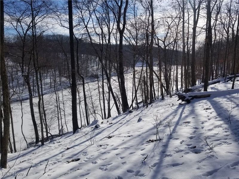 Lewis Road, Salineville, OH 43945 Photo 23