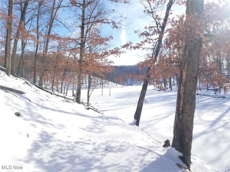 Lewis Road, Salineville, OH 43945 Photo 24