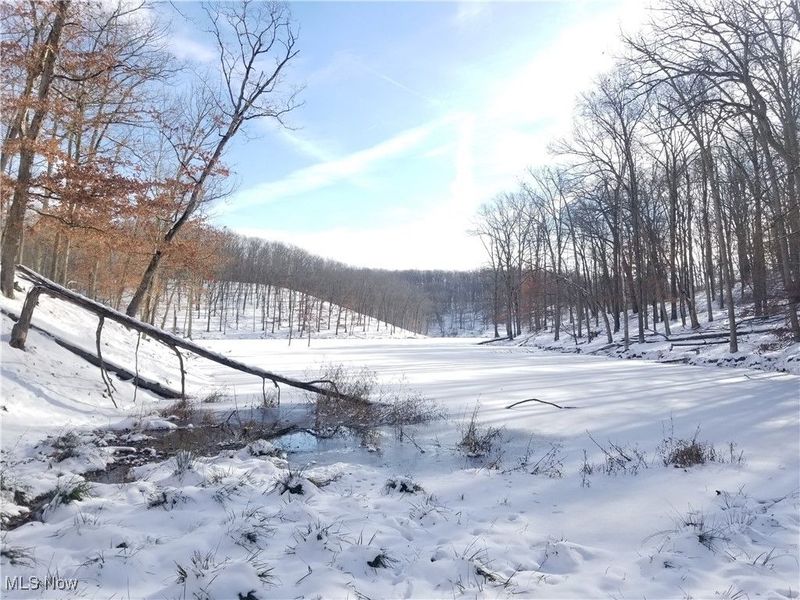 Lewis Road, Salineville, OH 43945 Photo 25