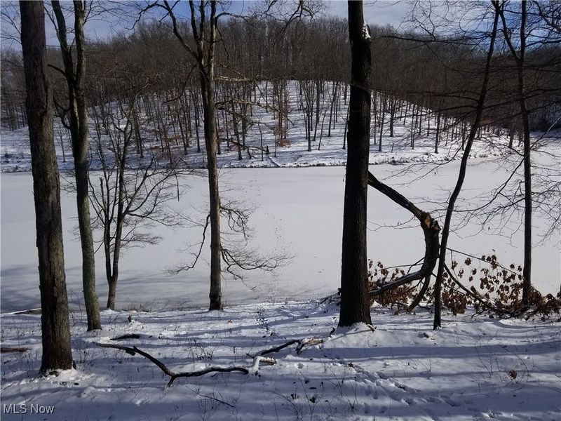 Lewis Road, Salineville, OH 43945 Photo 27