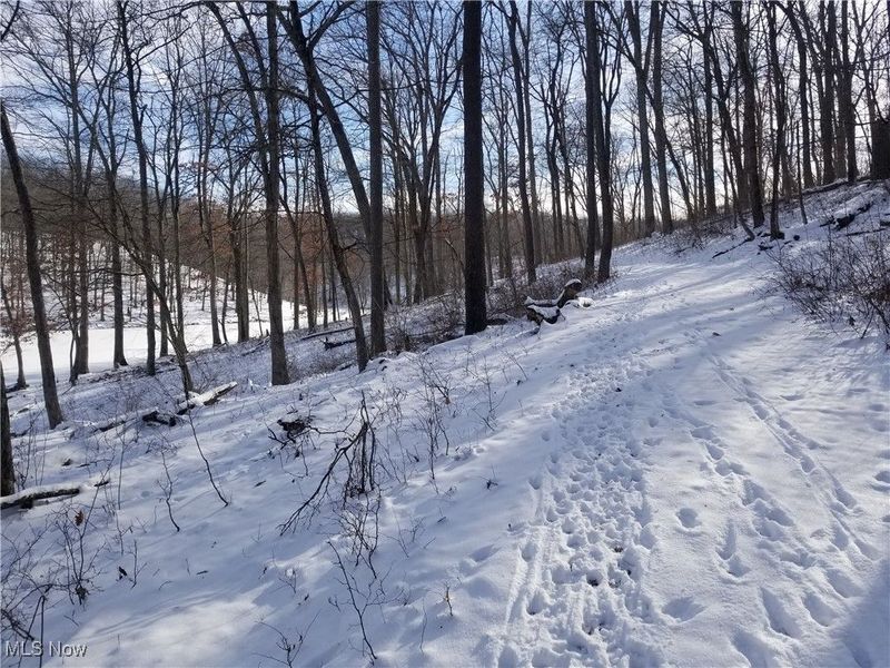 Lewis Road, Salineville, OH 43945 Photo 28