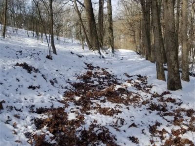 Lewis Road, Salineville, OH 43945 Photo 31