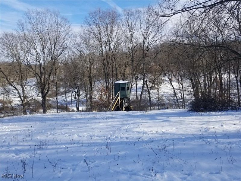 Lewis Road, Salineville, OH 43945 Photo 5