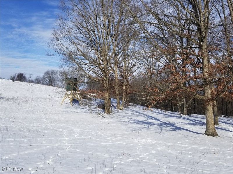 Lewis Road, Salineville, OH 43945 Photo 7