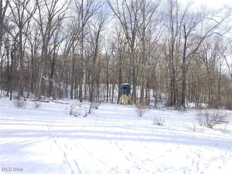 Lewis Road, Salineville, OH 43945 Photo 8