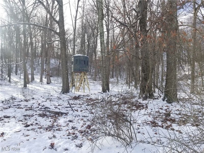 Lewis Road, Salineville, OH 43945 Photo 9