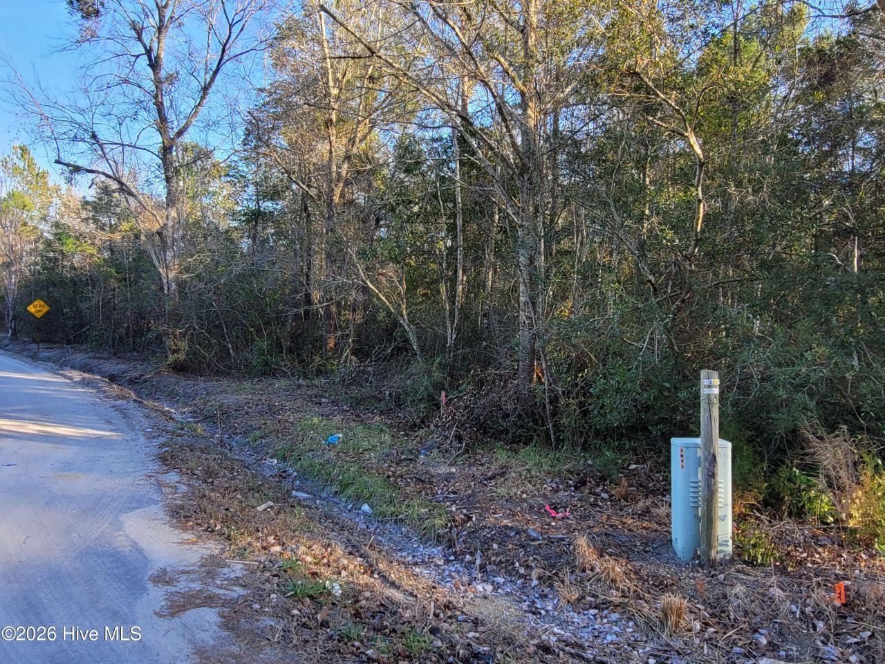 Tbd Lot 1 Auburn Drive Photo 5