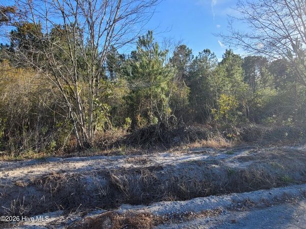 Lot 2 Auburn Drive, Loris, SC 29569