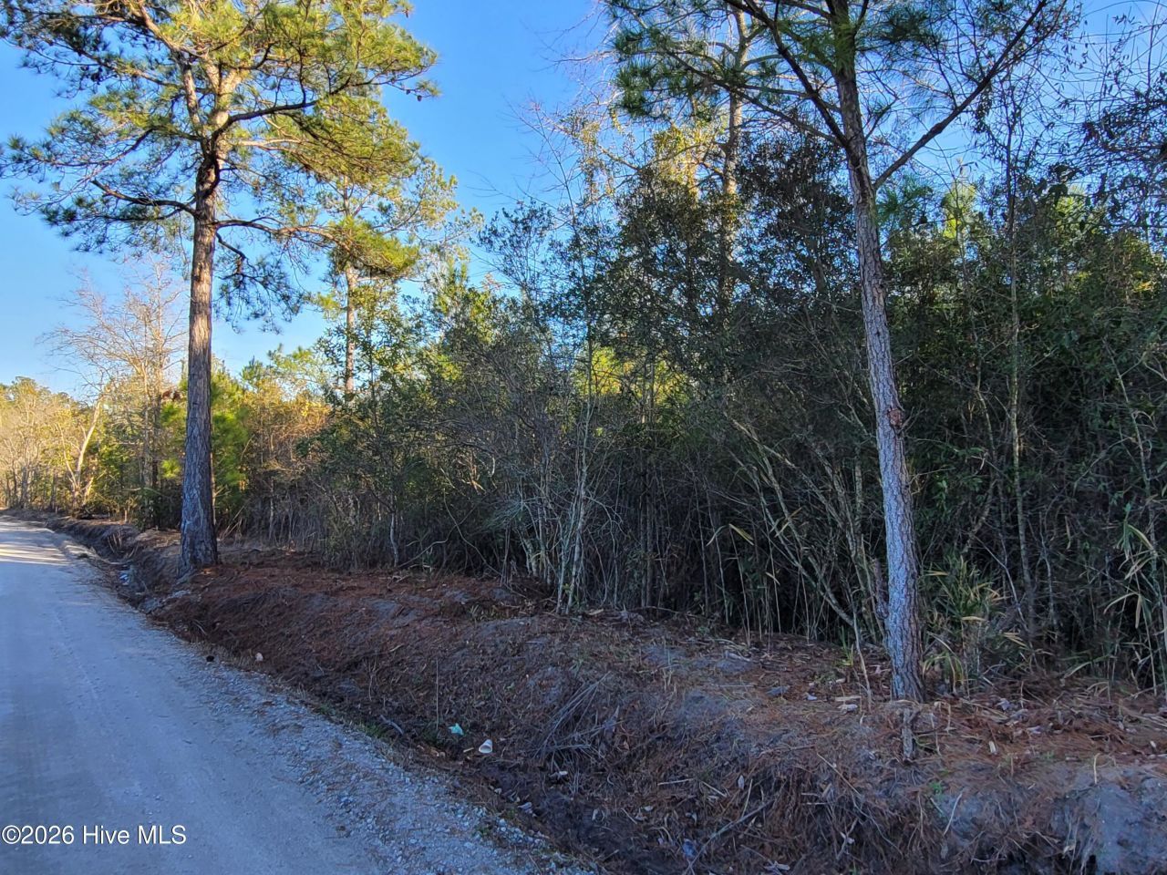Lot 2 Auburn Drive Photo 4