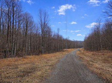 2110 W Teter Creek Road, Belington, WV 26250