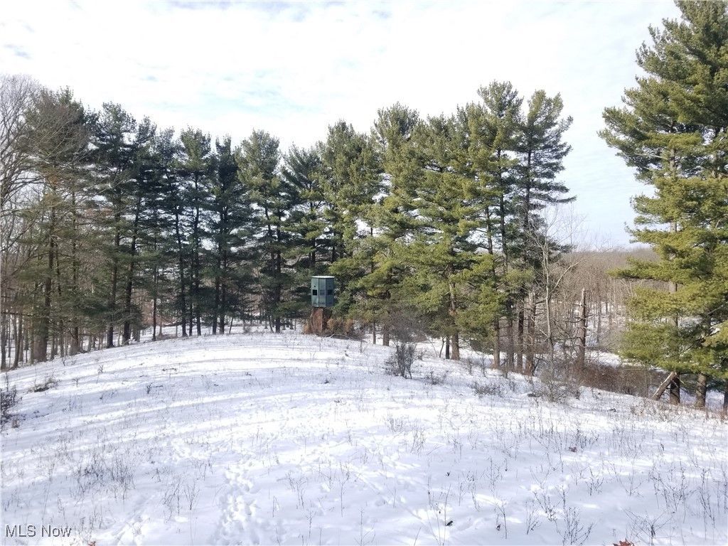 Lewis Road, Salineville, OH 43945 Main Photo