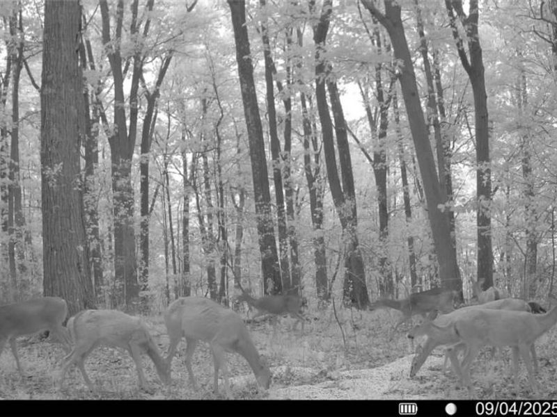 Lewis Road, Salineville, OH 43945 Photo 13