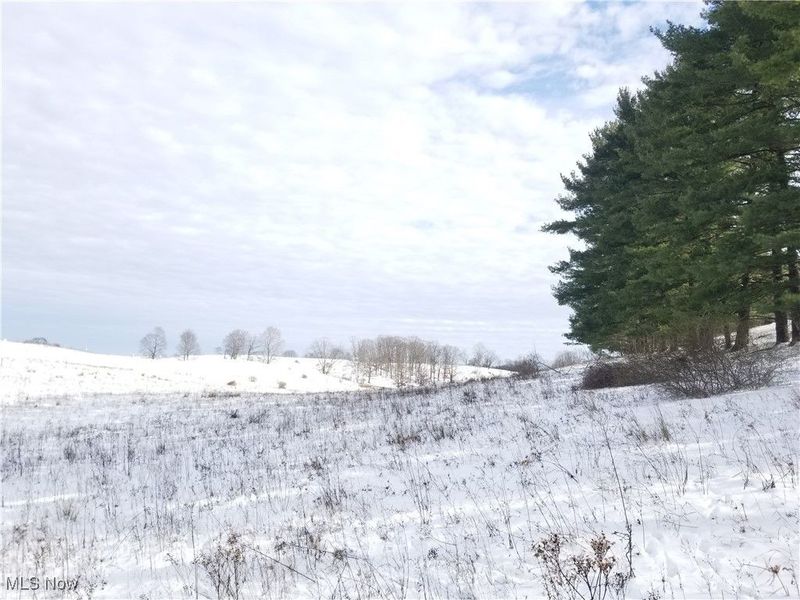 Lewis Road, Salineville, OH 43945 Photo 14