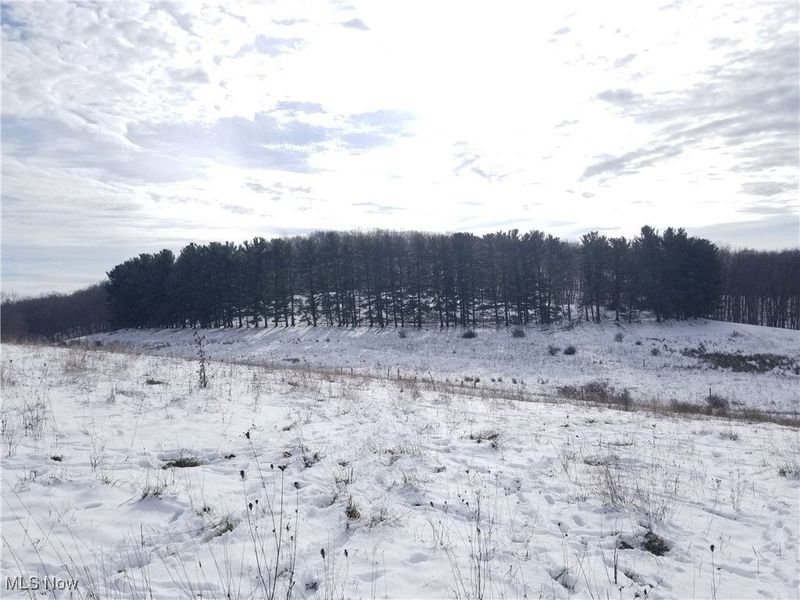 Lewis Road, Salineville, OH 43945 Photo 15